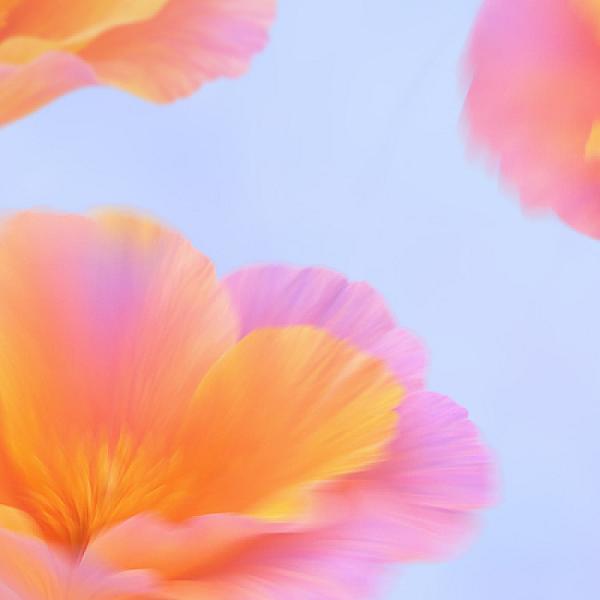 Night at the Museum 2026