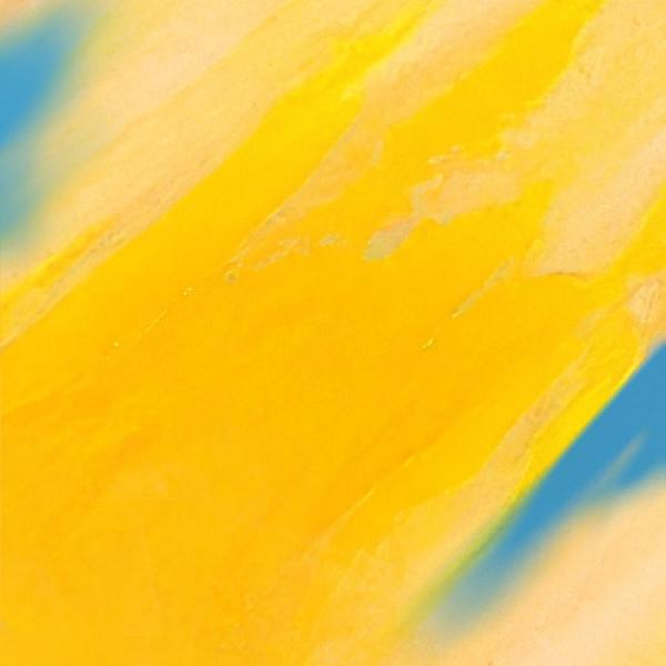 Rainforest World Music Festival 2026