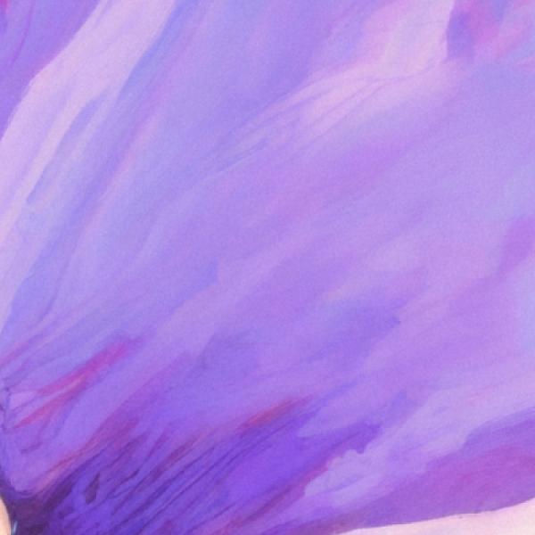 Borneo Bird Festival 2026