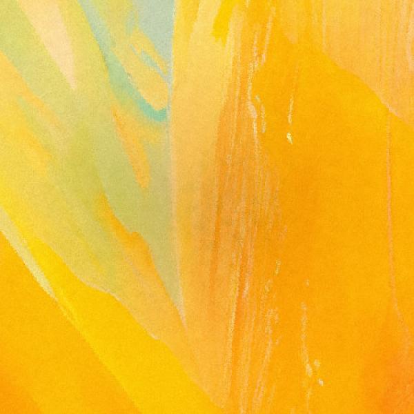 Traditional Sarawak Music Masterclass 2026